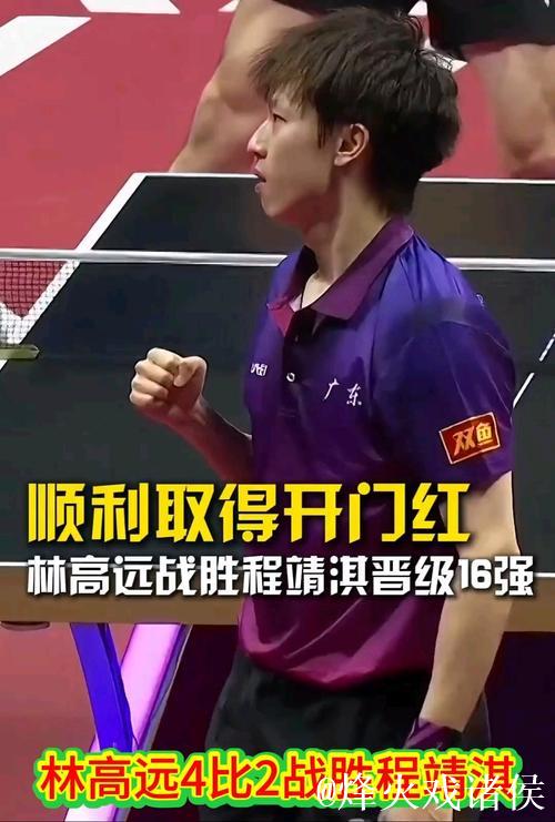 林高远4-2战胜程靖淇 顺利晋级全运会乒乓球男单16强 林高远4-2战胜程靖淇 顺利晋级全运会乒乓球男单16强
